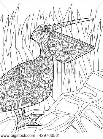 Large Pelican Standing Looking Up Tall Grass Background Colorless Line Drawing. Bird With Large Open