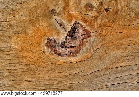 A Wooden Oak Prism Serves As A Bench In The Garden. For Better Drying Of The Wood, Grooves Are Mille