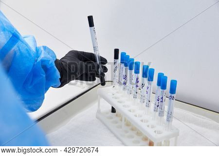 Test Tubes Rack With Madical Samples On The Table At The Modern Laboratory