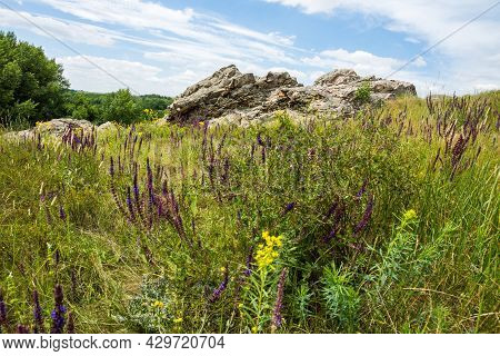Outcrops Of Paleogene Rocks In The North Of The Rostov Region. A Light Angular Rock Among Lush Green