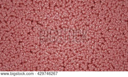 Cells Abstract Background Biology Brain Texture Anatomy