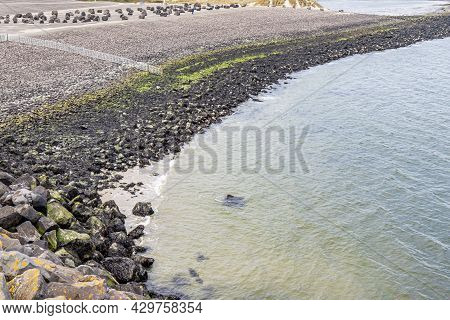 Breakwater Along The Delta Works With Large Mossy Rocks. Environmental Engineering In The Rhine - Me