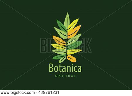 Logo With The Inscription Botanica And Painted Leaves