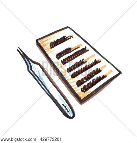 Felt Pen Eyelash Extension Tool Element In The Style Of Line Art Beauty Theme On A White Background.