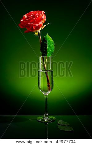 Vidrio y Rose