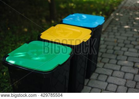 Outdoors In The Park Is Recycling Bins Different Colours. Tree Closed Plastic Bins. Green, Yeallow A