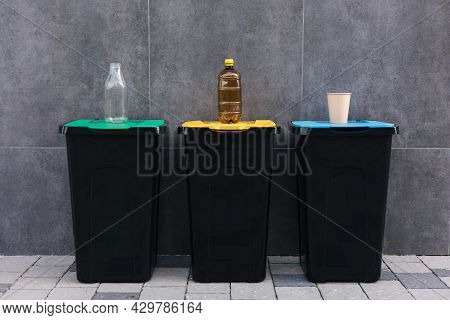 Outdoors In The Park Is Recycling Bins Different Colours. Tree Closed Plastic Bins. Green, Yeallow A