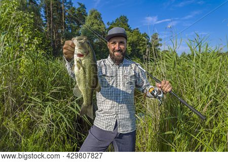 Bass Fishing. Big Bass Fish In Hands Of Pleased Fisherman With Spinning Rod. Largemouth Perch At Pon