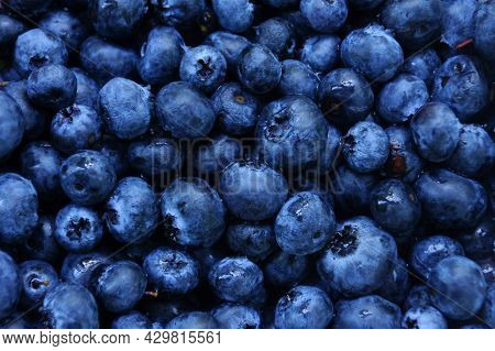 Raw Blueberries Dark Dlue Food Background. Blueberries Close Up.