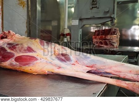 Cutting The Camel Carcass Into Pieces. Camel Meat.