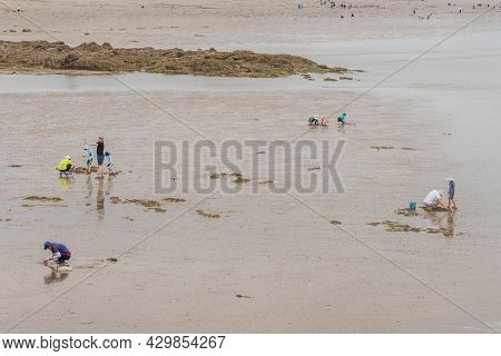 Taean, South Korea; July 30,2021: Unidentified People Digging In Mud Looking For Sand Crabs During L