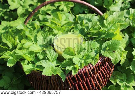 Goutweed Smoothie In An Old Basket In A Goutweed