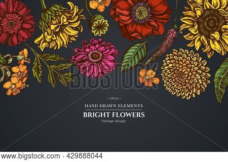 Floral Design On Dark Background With Poppy Flower, Gerbera, Sunflower, Milkweed, Dahlia, Veronica S