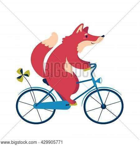 A Fox On A Bike. Cute Animal Character Vector Illustration.