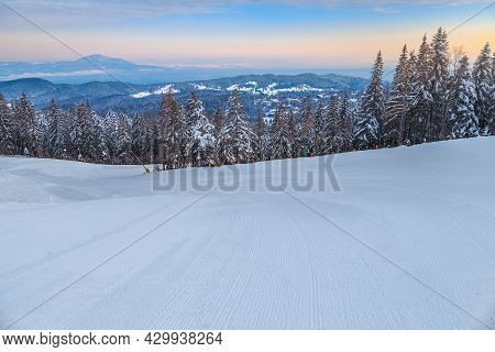 Amazing Snow Covered Pine Trees And Magical Empty Winter Ski Resort At Dawn, Poiana Brasov Ski Resor