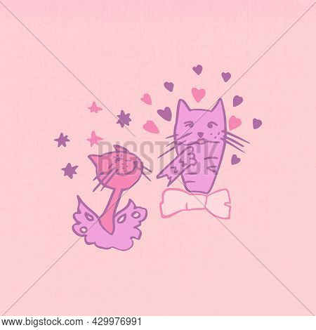 002_cat2