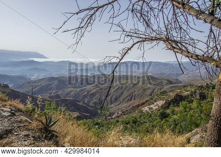 Alpujarra Landscape With Valleys, Ravines, Mountains, A Low Cloud In The Background And Branches Of 