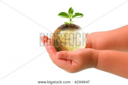 Bébé et la terre