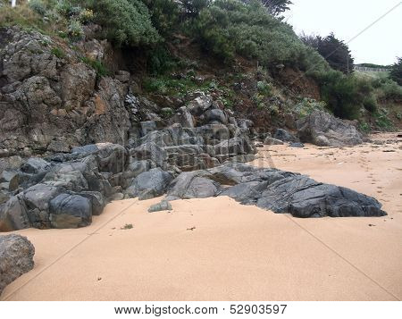 Coastal Detail
