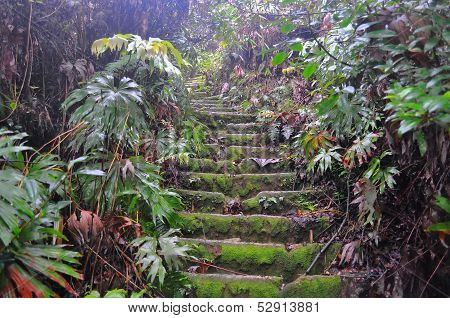Stairs Up To Sibayak Volcano