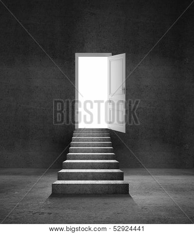 Ledder And Door