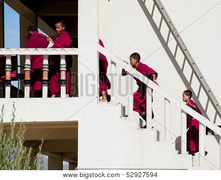 Tibetan Boys, Novice Buddhist Monks. India