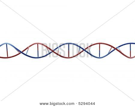 Molécule d'ADN