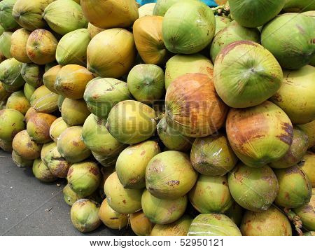 Pile Of Fresh Coconuts