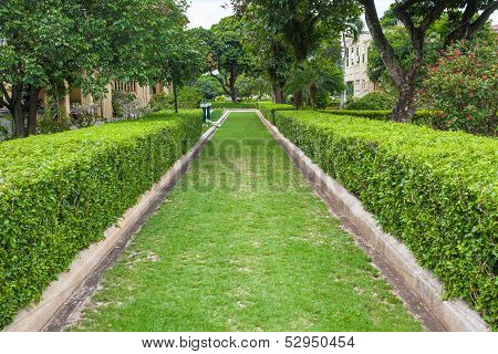 Green Grass Pathway In A Lush Green Park