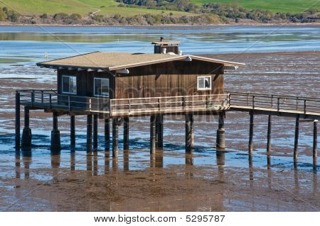 ศัทธาเข้าไปบ้านเรือน