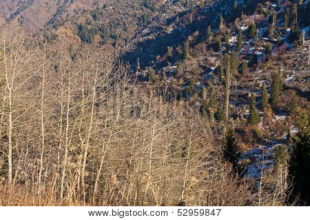 Autumn in Kazakhstan mountains