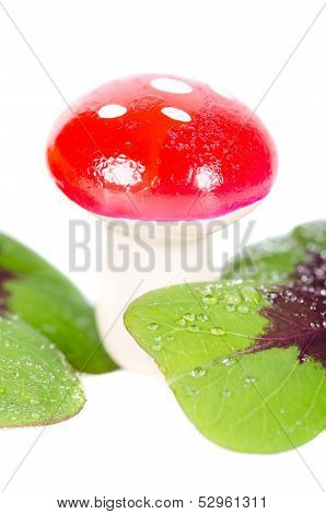 Lucky Devil With Clover