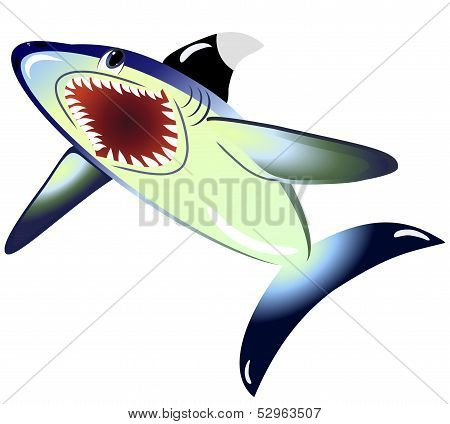 EPS10 vector illustration. Shark isolated on a white background