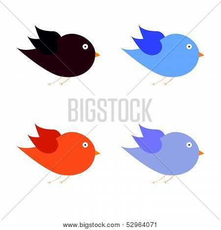 Beauty Bird Color Art Vector Illustration