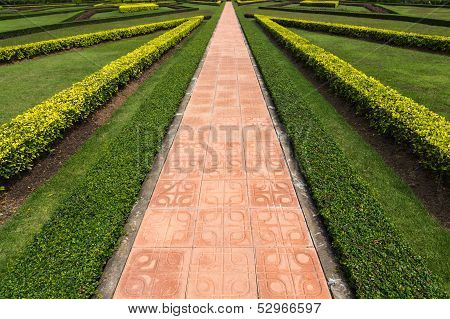 walk path in the park with green grass background