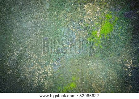 texture and surface of moss growing on the concrete floor