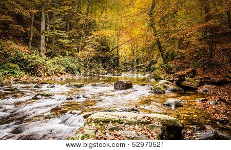 River