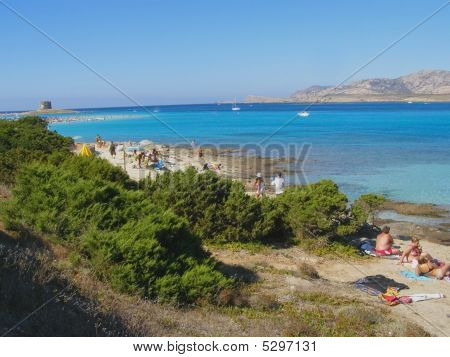La Pelosa-rannasta, Sardinia - Italia