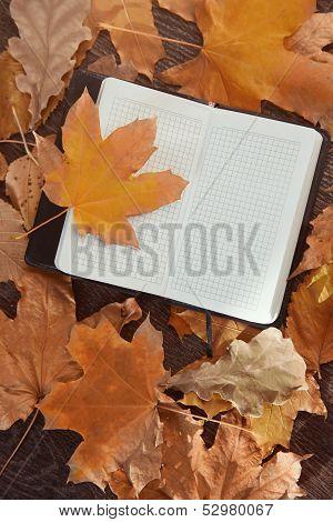 Autumn