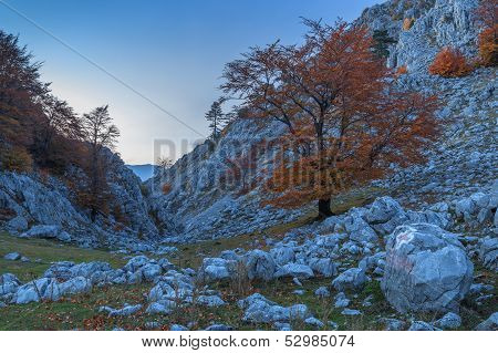 Mountain Landscape