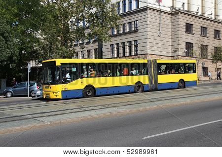 Belgrade Bus