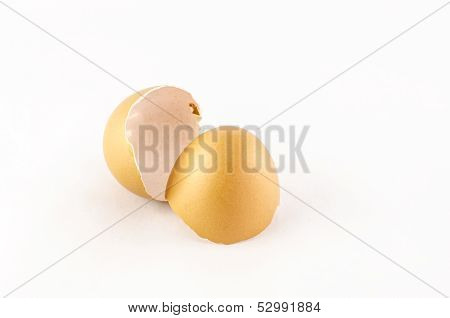 Egg Shell Isolated On White