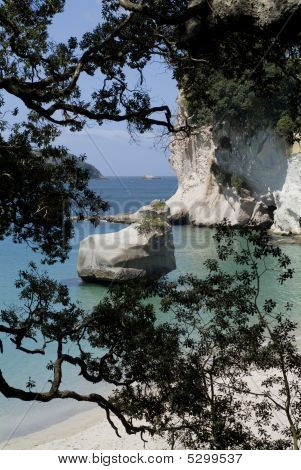 Cathedral Cove