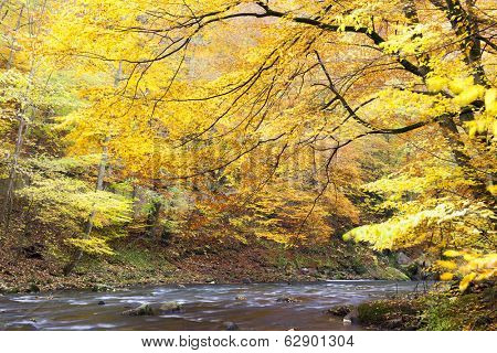 Metuje river in autumn, Czech Republic