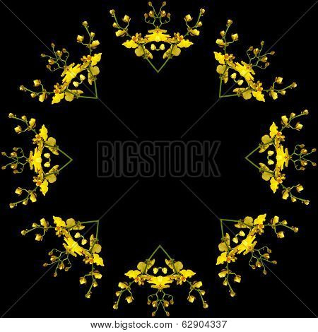 Border frame of Bright Yellow Oncidium Orchid plant isolated on black background