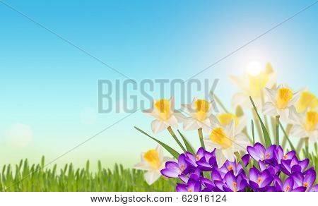 Easter Background