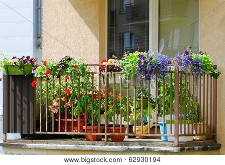 Flowers In The Balcony
