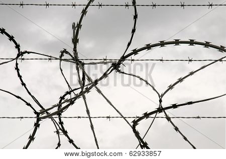Razor Wire