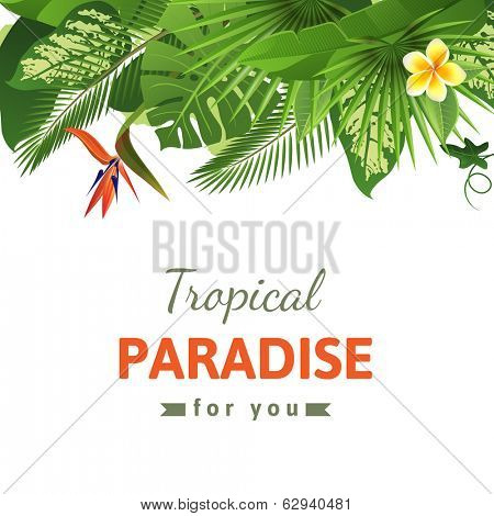 Tropical background with flowers and plants