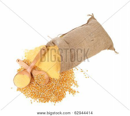 Sack with corn grains and flour.